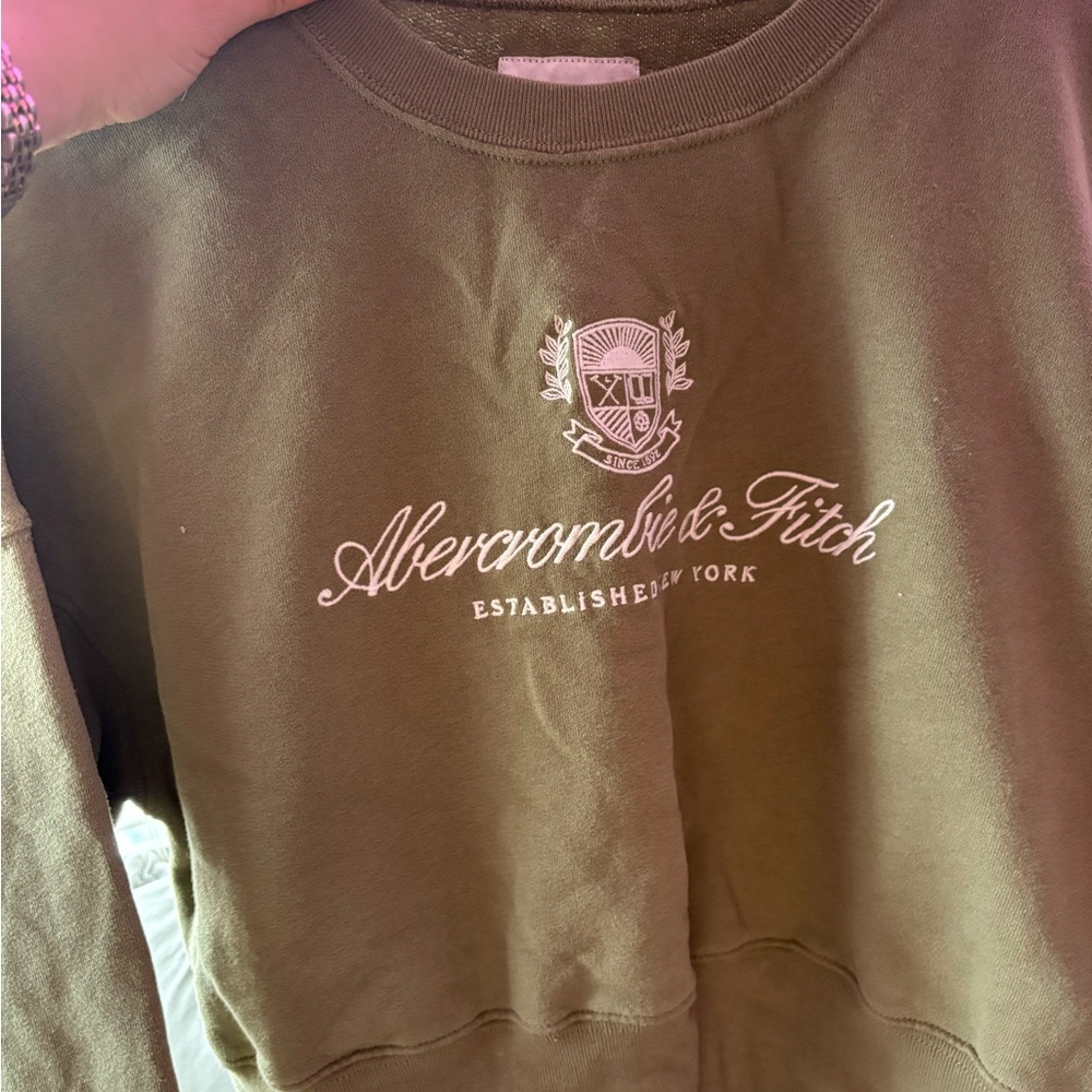 Abercrombie & Fitch Olive Green  Sweater